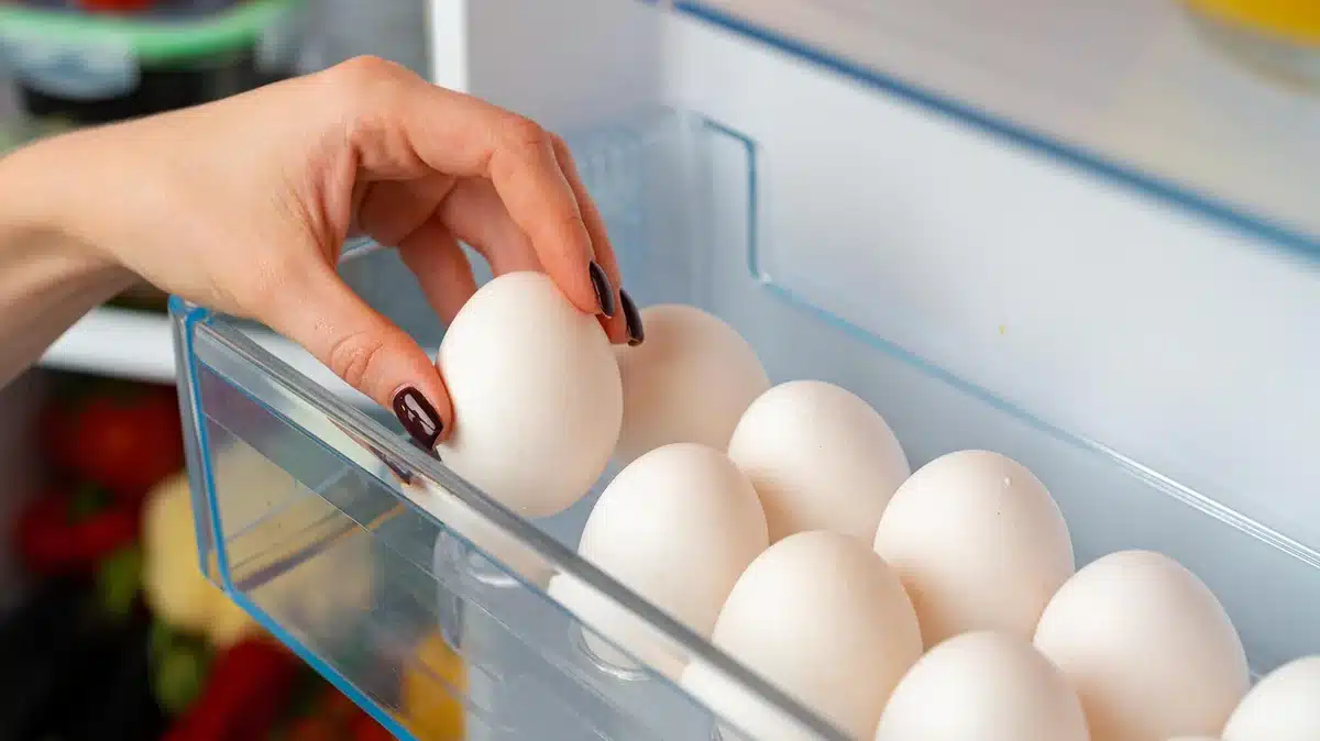 Proč nelze vejce skladovat ve dveřích chladničky? Vysvětlení odborníka.
